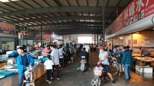 太漂亮了 一起來看海陽農副產品批發市場的新家