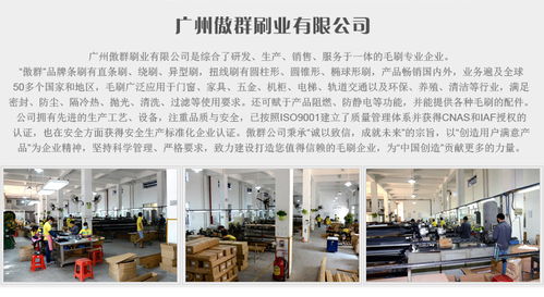 黑色手扶梯毛刷 傲群廠家直銷 質量保證 定制單排手扶梯毛刷