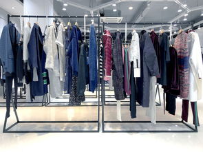 在小縣城鄉鎮開設女裝品牌尾貨折扣店的市場前景分析