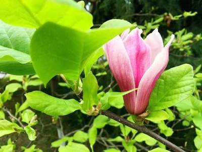 生意的本質(zhì) 生生不息，心上之意